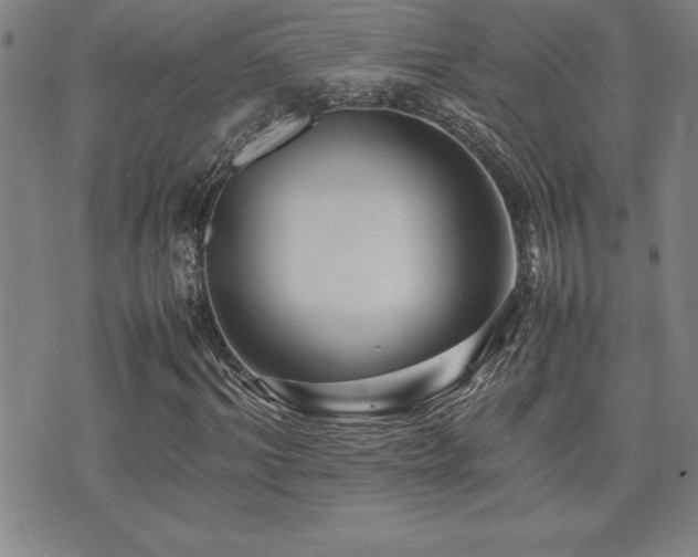 X0000077340964200610201255