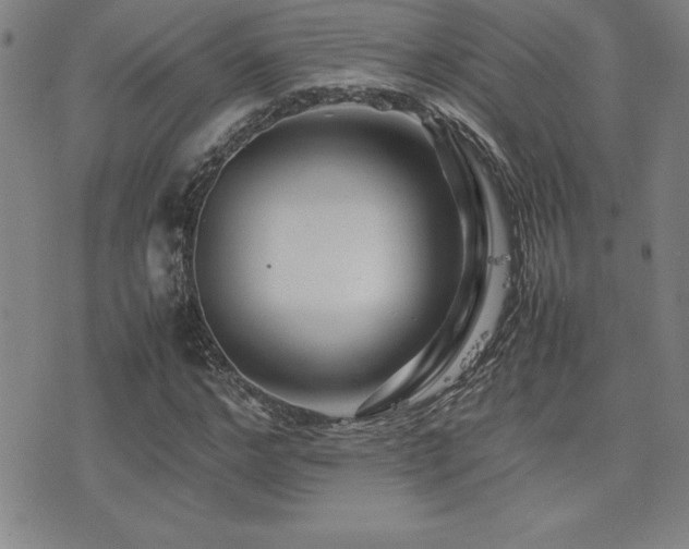 X0000077340968200610201255