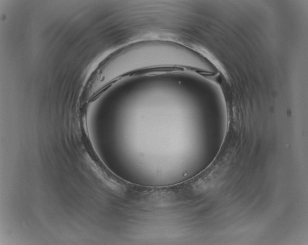 X0000077340972200610201255