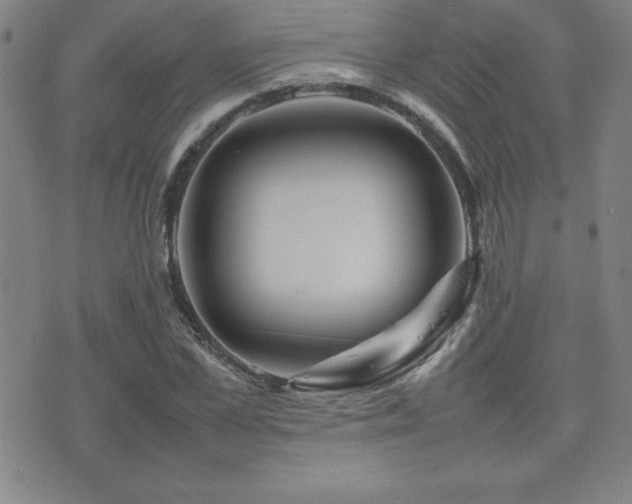 X0000077340973200610201255