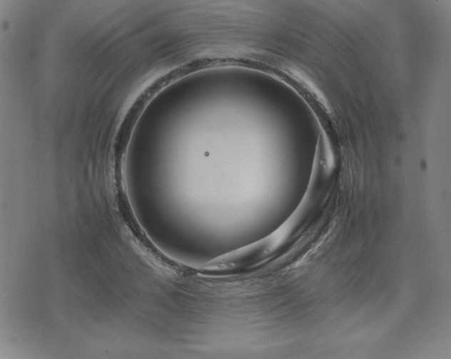 X0000077340976200610201255