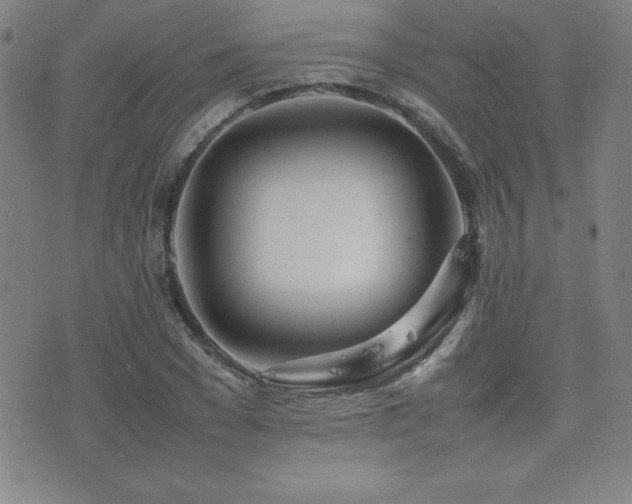 X0000077340977200610201255