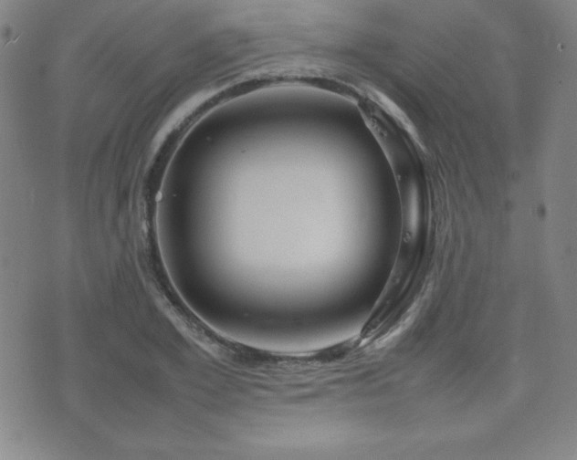 X0000077340981200610201255