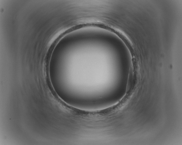 X0000077340983200610201255