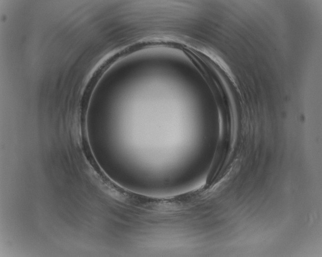 X0000077340984200610201255