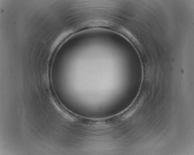 X0000077340986200610201255