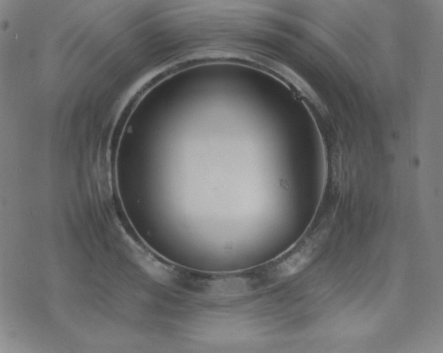 X0000077340988200610201255