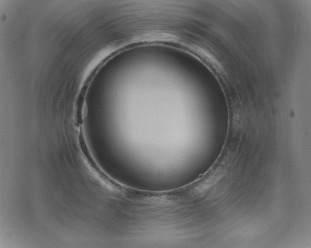 X0000077340990200610201255