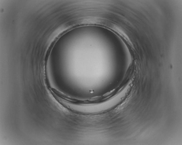 X0000077340992200610201254