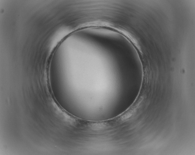 X0000077340998200610201254
