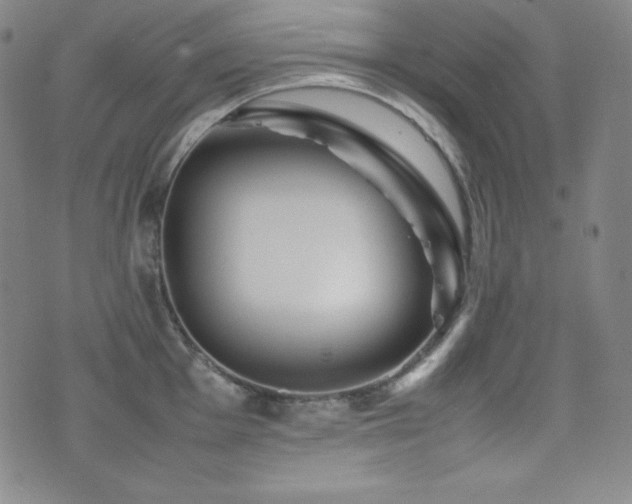 X0000077341001200610201254
