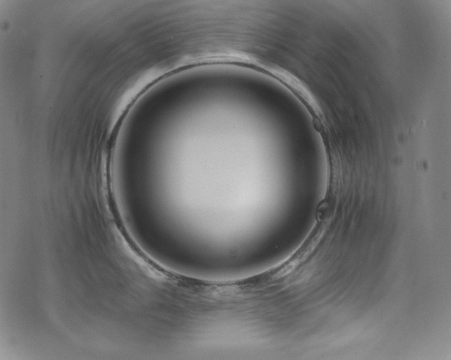 X0000077341006200610201254