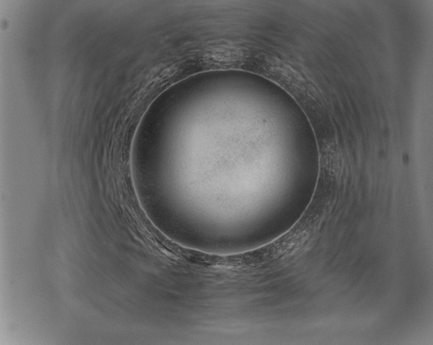 X0000077341009200610201253