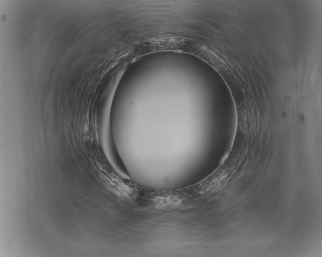 X0000077341010200610201253