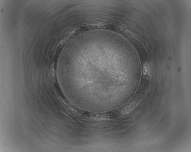 X0000077341011200610201253