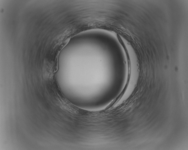 X0000077341012200610201253