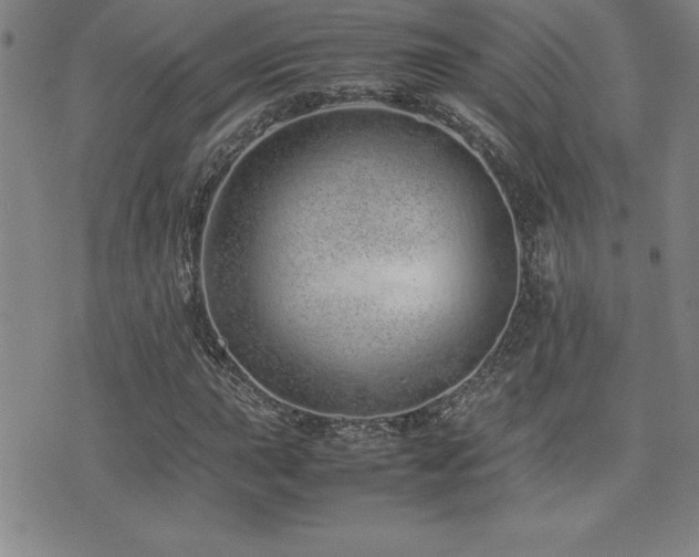X0000077341015200610201254