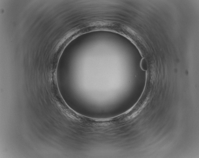 X0000077341017200610201254