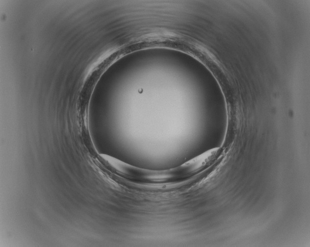 X0000077341018200610201254