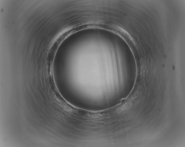 X0000077341019200610201254
