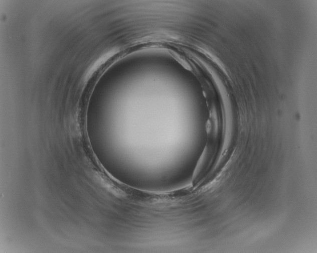 X0000077341026200610201254