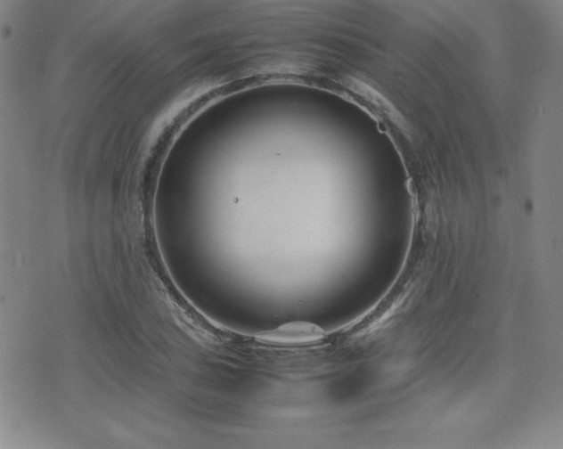 X0000077341027200610201254