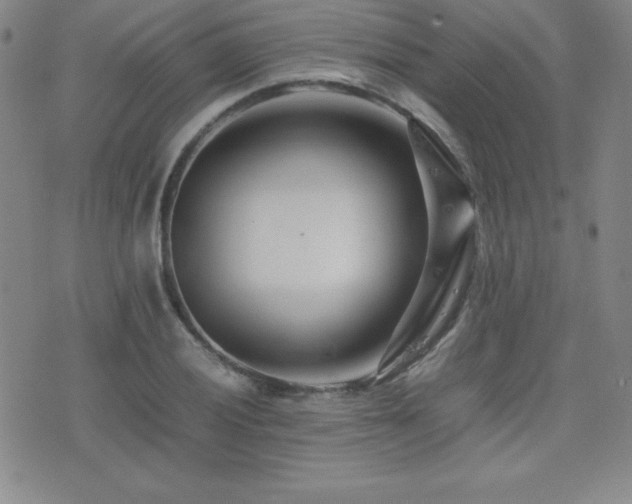 X0000077341028200610201254