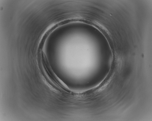 X0000077341029200610201254