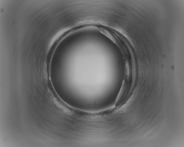 X0000077341030200610201254
