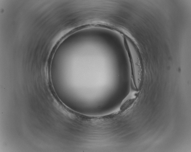 X0000077341032200610201254
