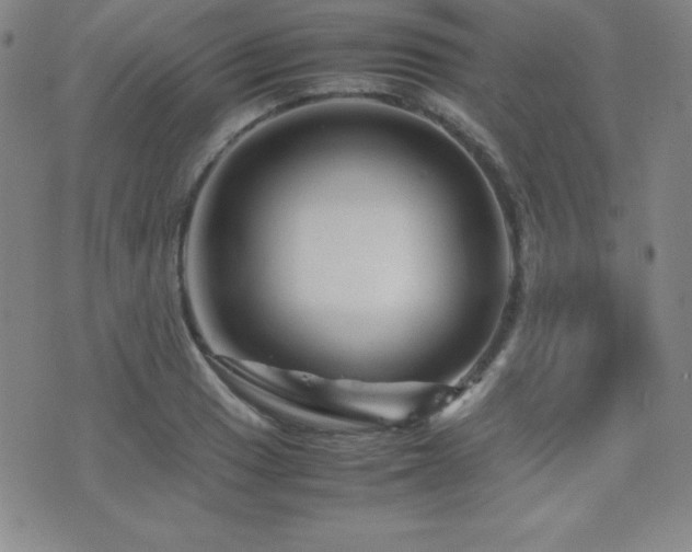 X0000077341033200610201254