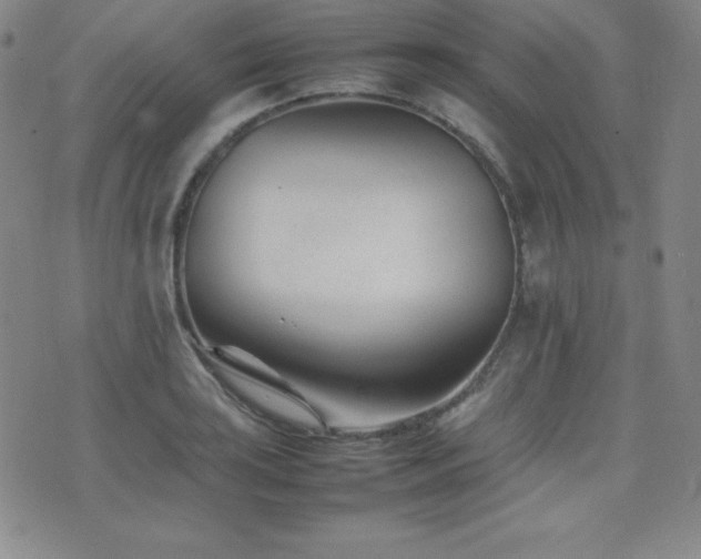 X0000077341035200610201254