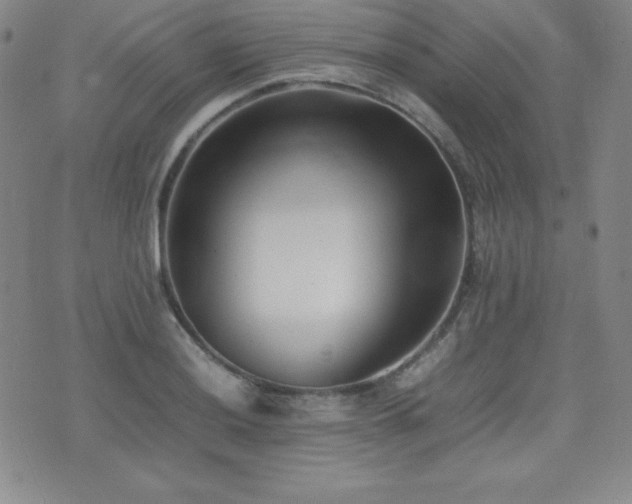 X0000077341036200610201254