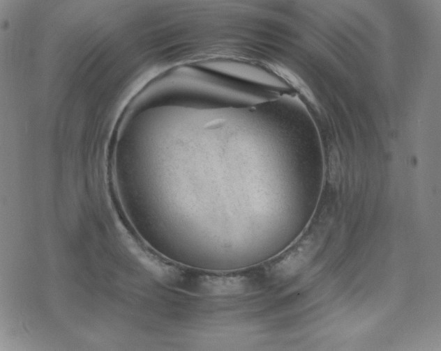 X0000077341039200610201254