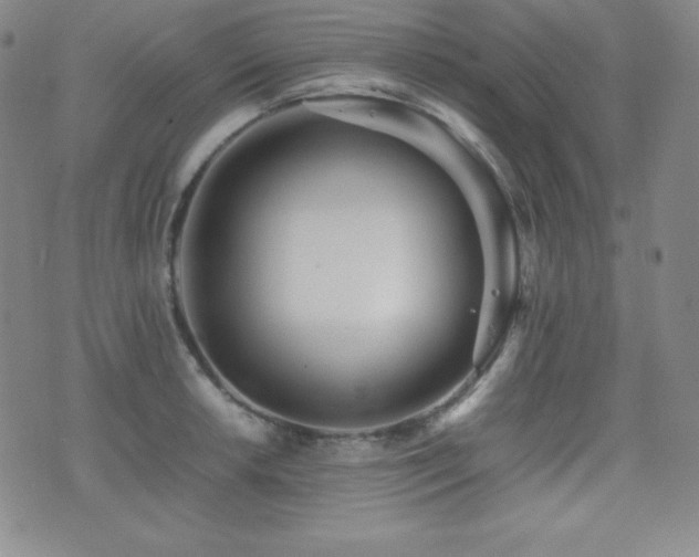 X0000077341042200610201254