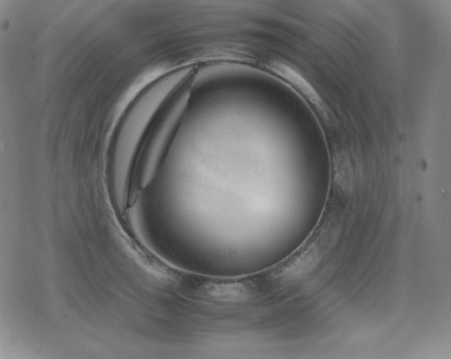 X0000077341043200610201254