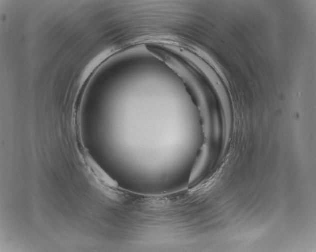 X0000077341050200610201254