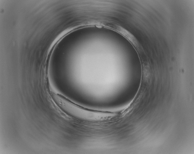 X0000077341052200610201254