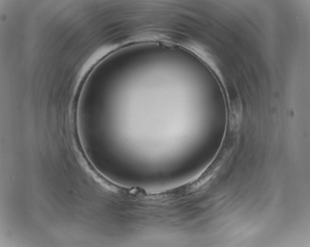 X0000077341053200610201254