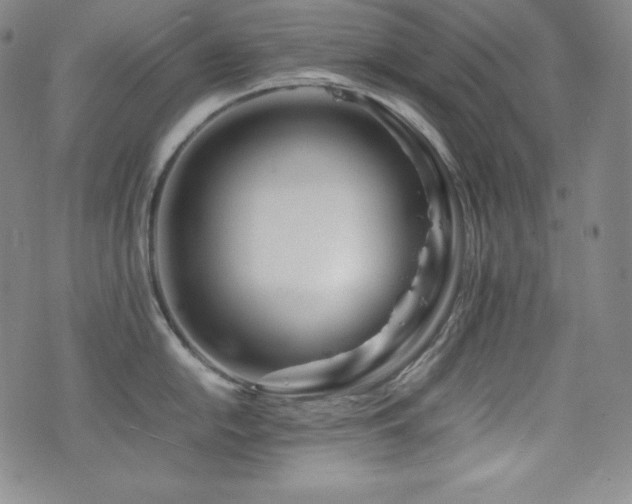 X0000077341054200610201254