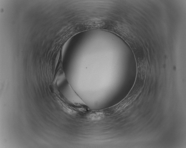 X0000077341058200610201253