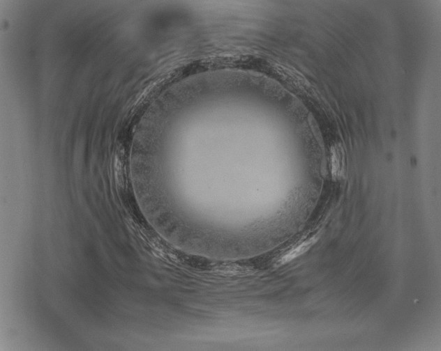 X0000077341059200610201253