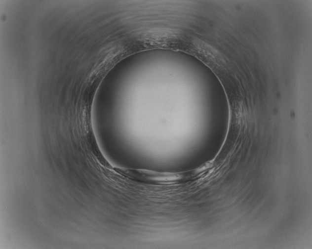 X0000077341060200610201253
