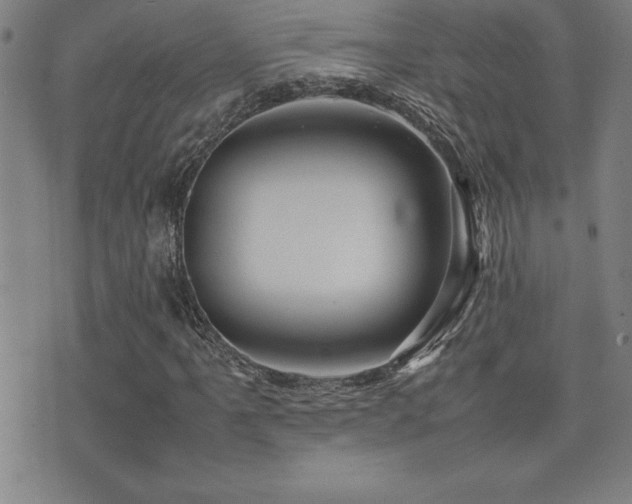 X0000077341061200610201253