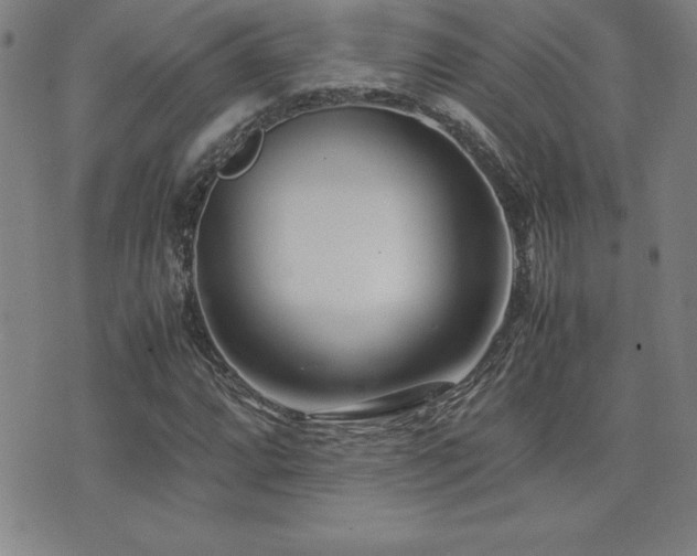 X0000077341064200610201253