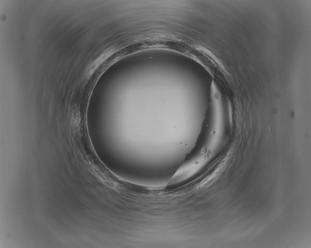 X0000077341065200610201253