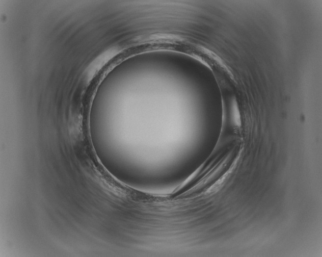 X0000077341066200610201253