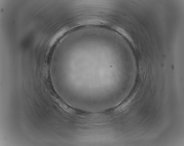 X0000077341067200610201253