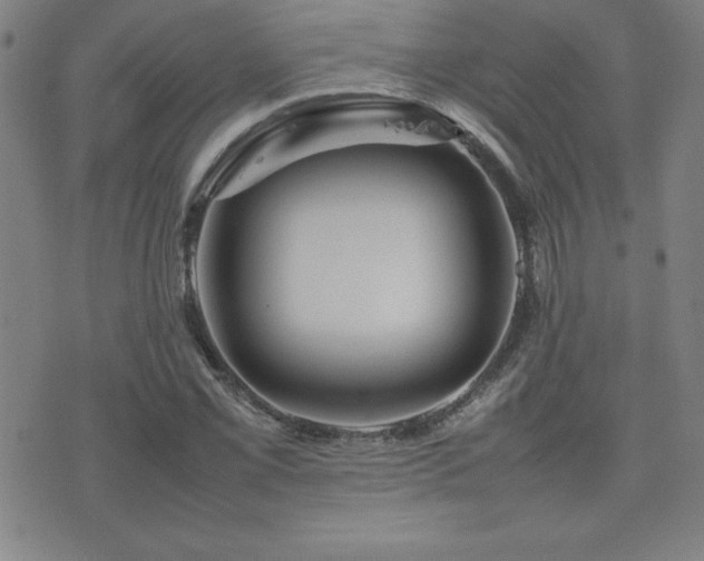 X0000077341069200610201253