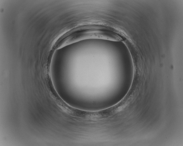 X0000077341073200610201253